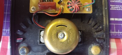 IMG_20240720_122925